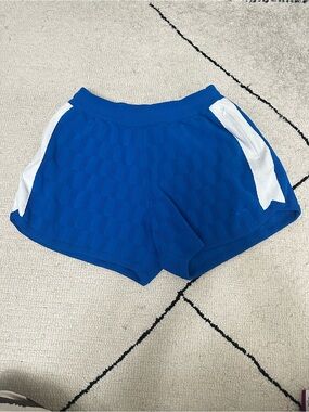 System Blue Athletic Shorts with White Side Panels